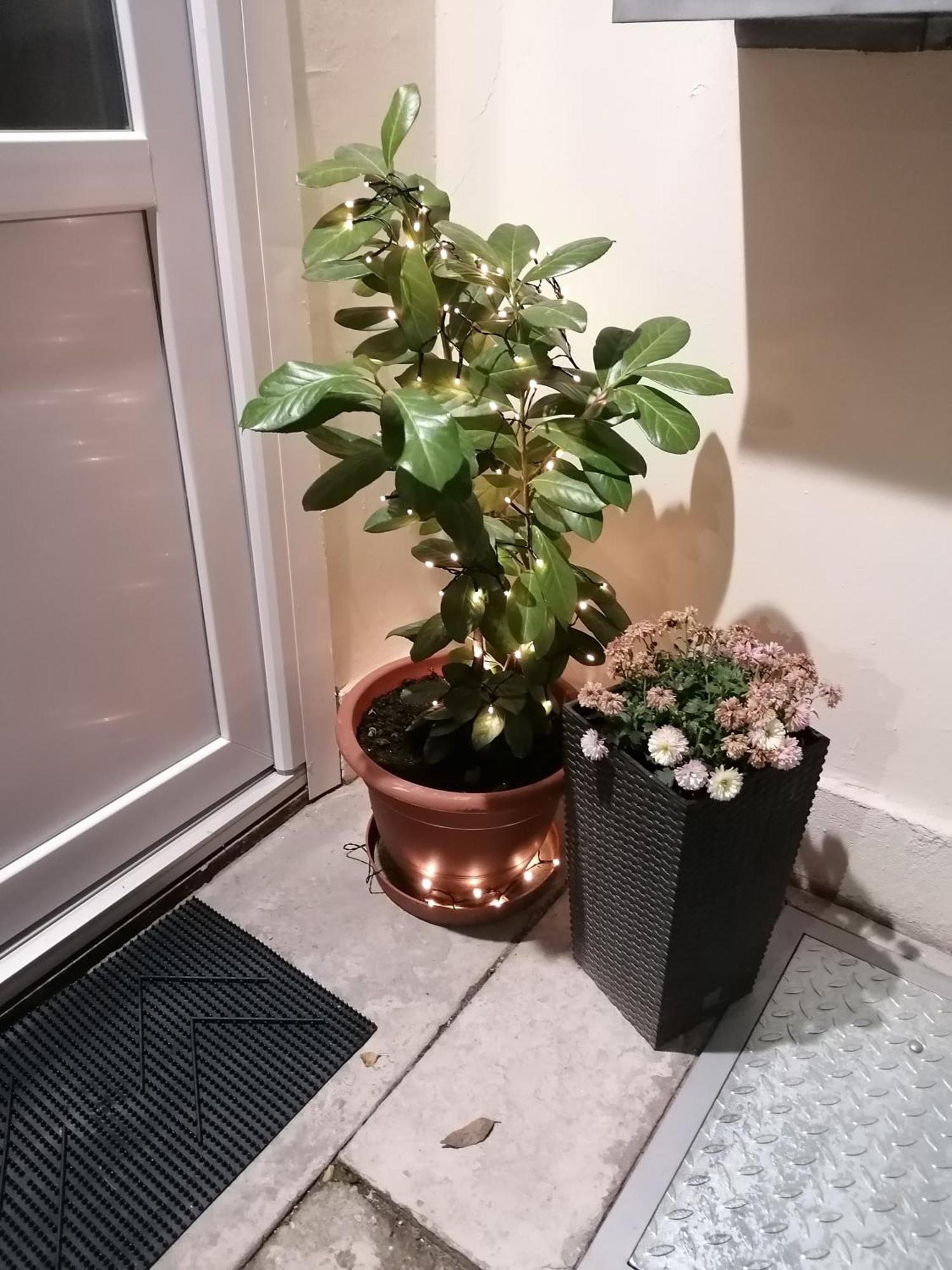 Mohacs Korona Apartman 外观 照片